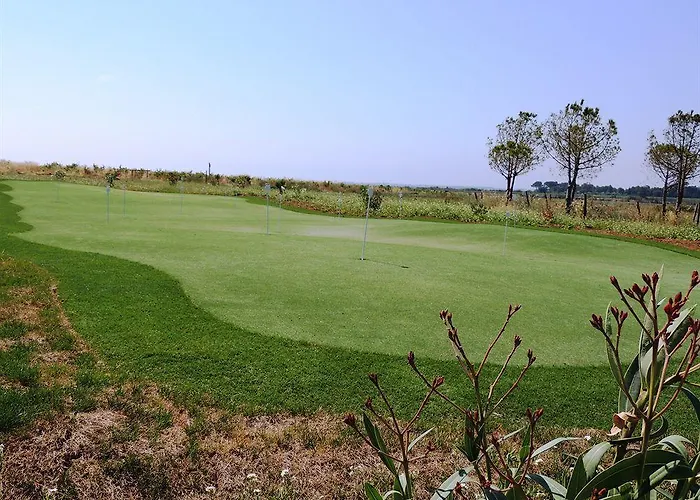 Domaine De La Mandoune